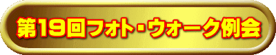 19tHgEEH[N